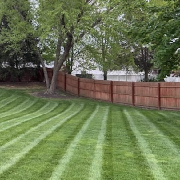 Lawn maintenance new