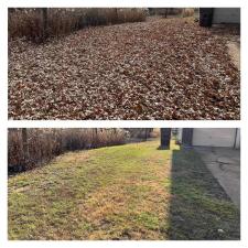 Efficient-Leaf-Removal-Vacuum-In-St-Charles-MO 0