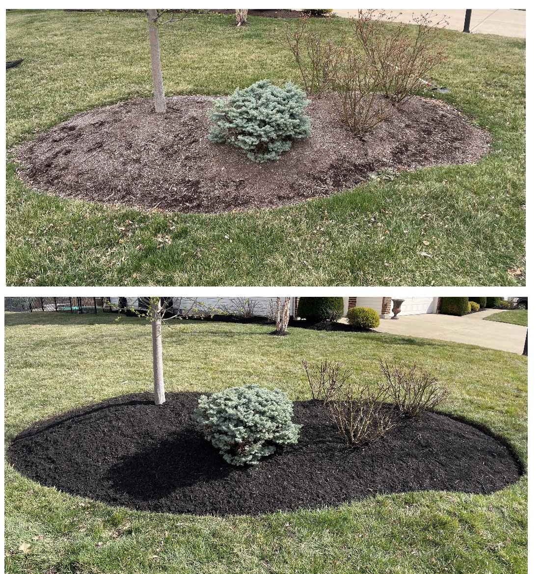 SPRING MULCH INSTALLATION IN OFALLON, MISSOURI