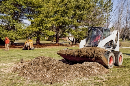 Land Clearings