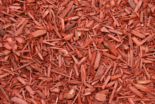 Mulch Installation