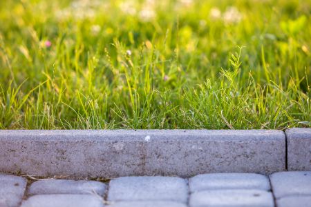 Stone Edging